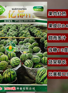 亿都西瓜种子高糖美都型西瓜种籽大果型麒麟瓜8424孑耐裂货架期长
