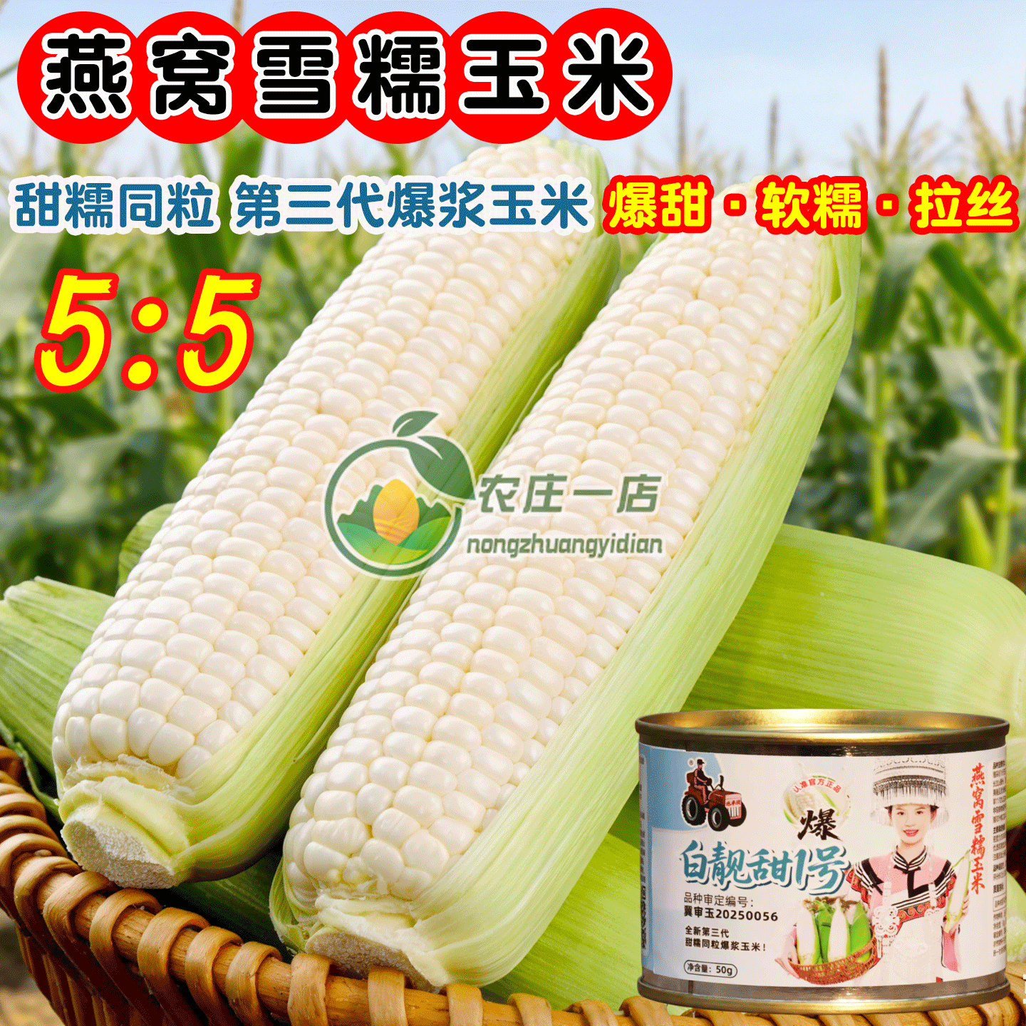 燕窝雪糯玉米种籽爆浆甜糯同粒玉米种子皮薄无渣春秋夏播高产大棒