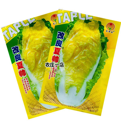 耐热38度可正常生长大白菜种子