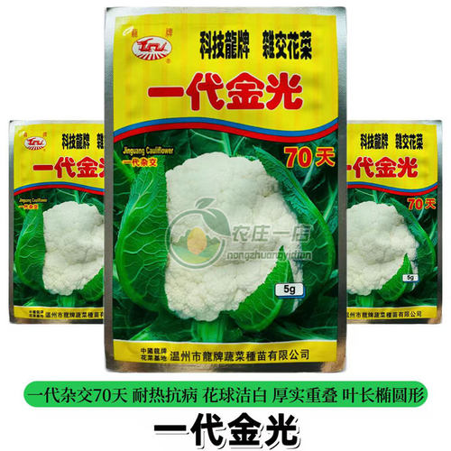 一代杂交耐热花椰菜种子结球紧实