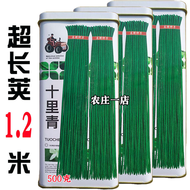 特长1.2米翠绿肉厚长豆角种子籽
