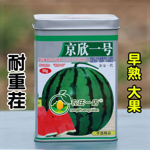 耐重茬抗病西瓜种籽孑西瓜种子