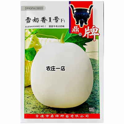 雪奶香1号香瓜种籽奶香味足脆甜