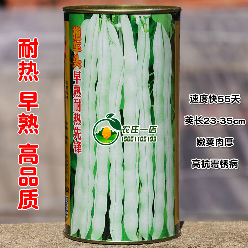 早熟耐热豆角种子高产白芸豆种籽