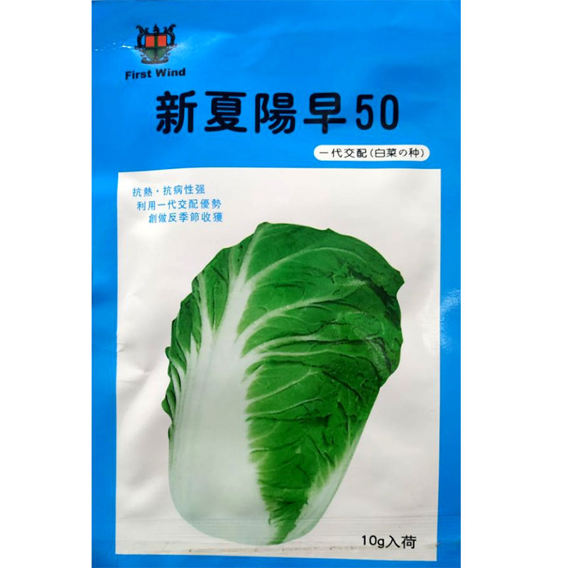 蔬菜夏阳50天抗热山东四季白菜