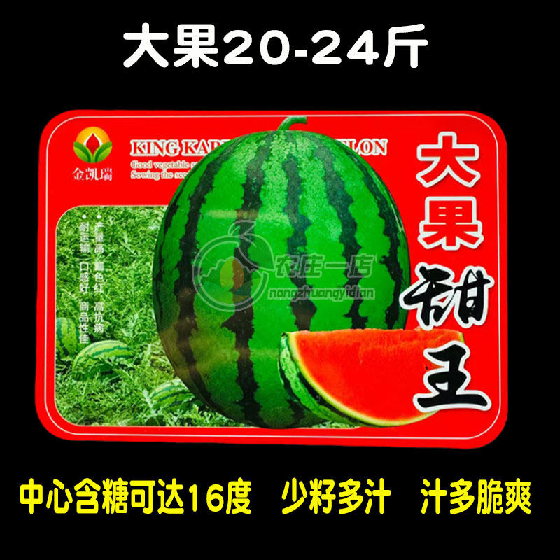 正宗甜王西瓜种子种籽中早熟高糖可达16度抗裂脆甜大红瓤特大巨型