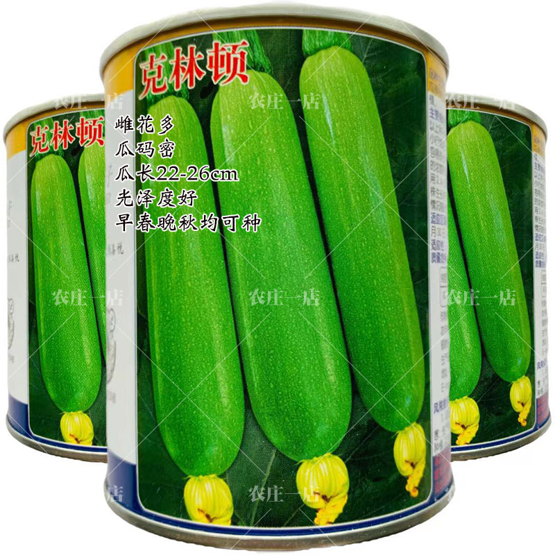 杂交种翠绿西葫芦早熟抗病克林顿