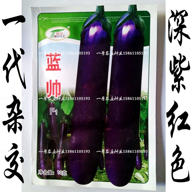 蓝帅长茄种籽茄子种孑紫黑长茄一代杂交高产四季蔬菜种子烧烤线茄