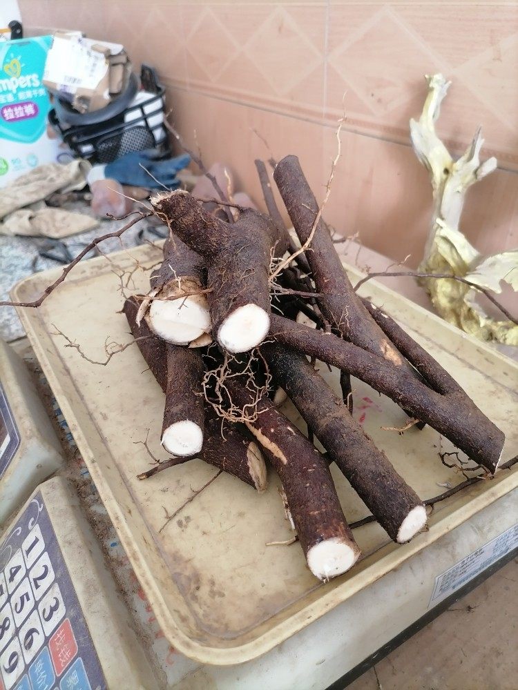 油桐根，新鲜现挖桐油树纯根桐子