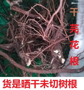 芫花根,干根一斤黄大戟蜀桑头痛花根可切段中草药材500克包邮