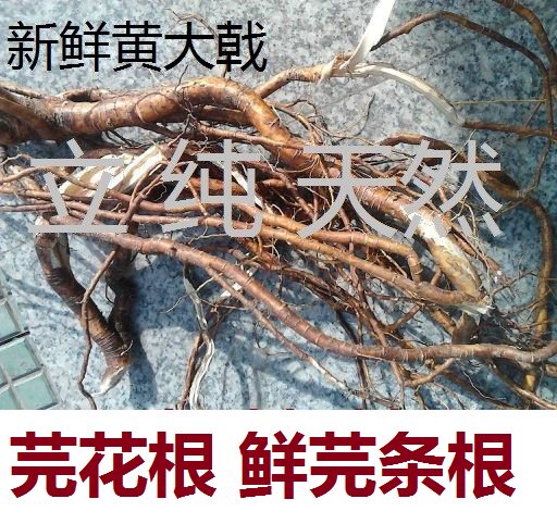 新鲜 芫花根 黄大戟蜀桑闷头痛花树山大米芫条根250克下单上山釆