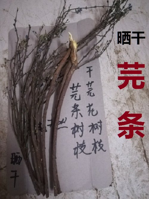 芫花枝,晒干有皮芫条枝头痛花树枝条子树杆棍中药材500克包邮