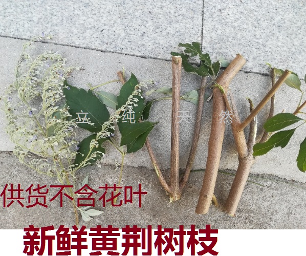 新鲜黄荆条二斤野生五指柑棍子布荆牡荆树枝棒中草药包邮可煅荆沥 传统滋补营养品 其他药食同源食品 原图主图