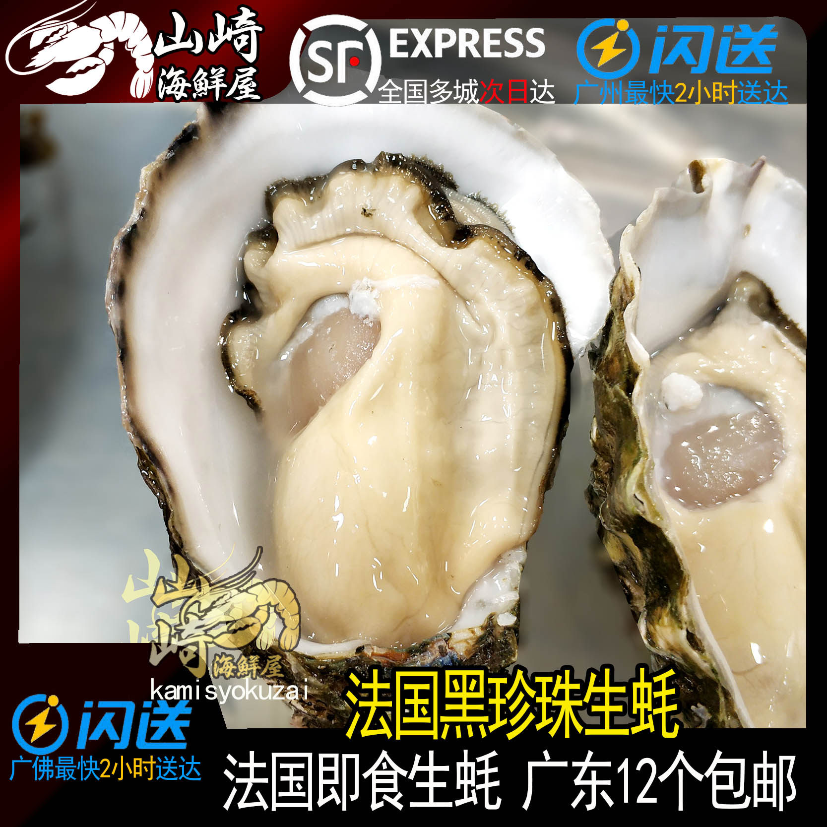 【法国黑珍珠生蚝】(6只起售) 空运进口鲜活生蚝开壳刺身非吉拉多