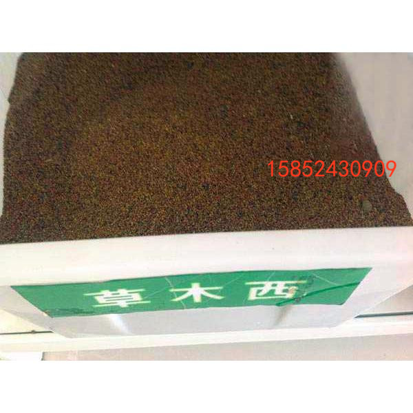 草木樨种子 墨西哥玉米黑麦草 牧草种子紫花苜蓿苏丹高丹皇竹草