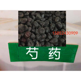 芍药种子 洛阳牡丹花种子 四季盆栽松叶牡丹 芍药树苗种子包邮