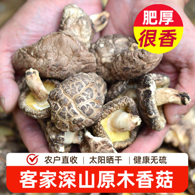 河源和平原木香菇煲汤冬菇