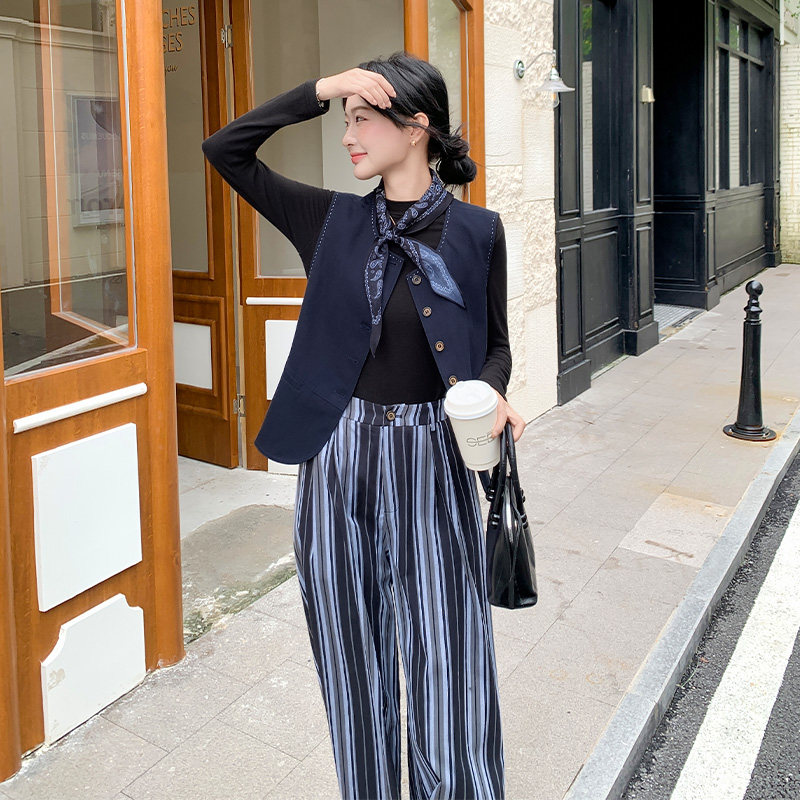 韩系通勤风马甲套装女2025秋新款时尚气质高级感条纹阔腿裤两件套,女装运动套装,浙宝285（原212）