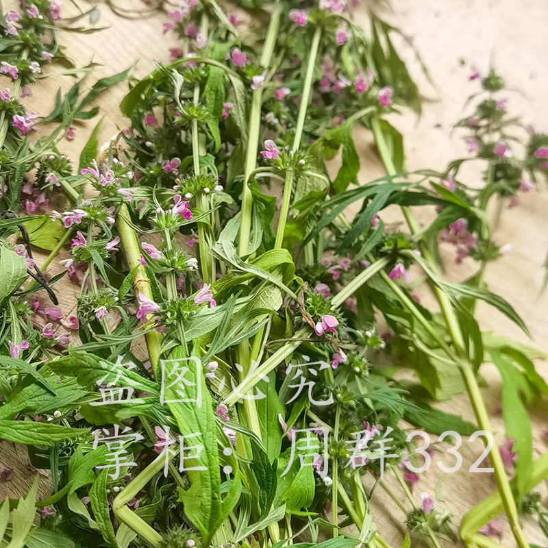 红花益母草煮水红糖姜调姨妈月经花茶气血泡脚农家现采新鲜中药材