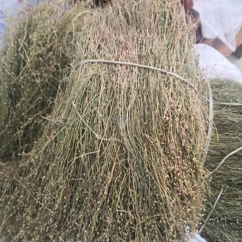 新货纯晒干青草药潮汕优质四叶莲四合莲四合梅天良草500g包邮泡酒