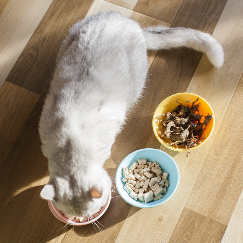 爱立方猫咪主食冻干生骨肉猫粮图片