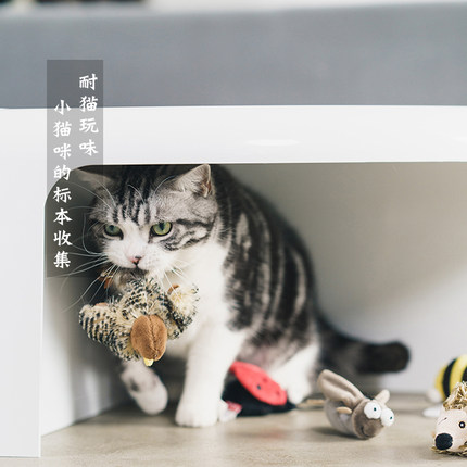 逗哒乐 GiGwi贵为仿真小鸟耐咬猫玩具自嗨解闷猫咪用品大全逗猫球