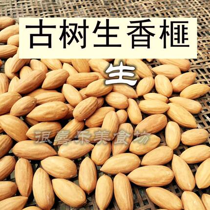 古树生果香榧籽 新货坚果种子炒枫桥香榧原料日晒无添加剂 500克