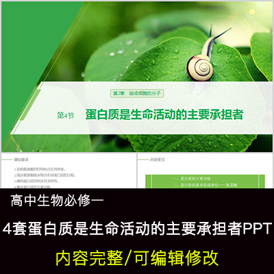 高中生物教育课件 蛋白质是生命活动的主要承担者 PPT模板成品