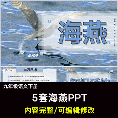 海燕PPT语文九下公开课讲课教学成品课件幻灯片PPT教师用