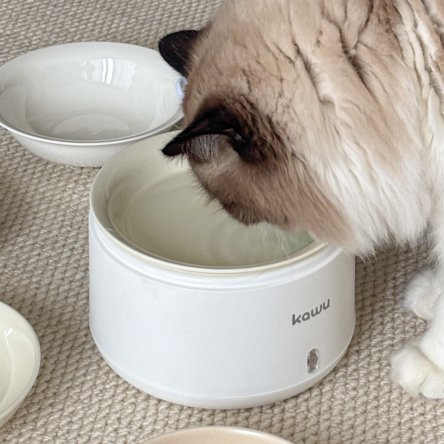 陶瓷碗适配酸奶机，冬季温水get~