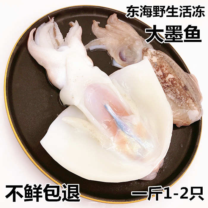 3斤装顺丰包邮东海冷冻大墨鱼