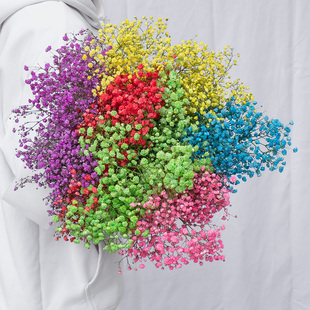 满天星鲜花自然风干半干花束云南基地直发白色彩色满天星插花