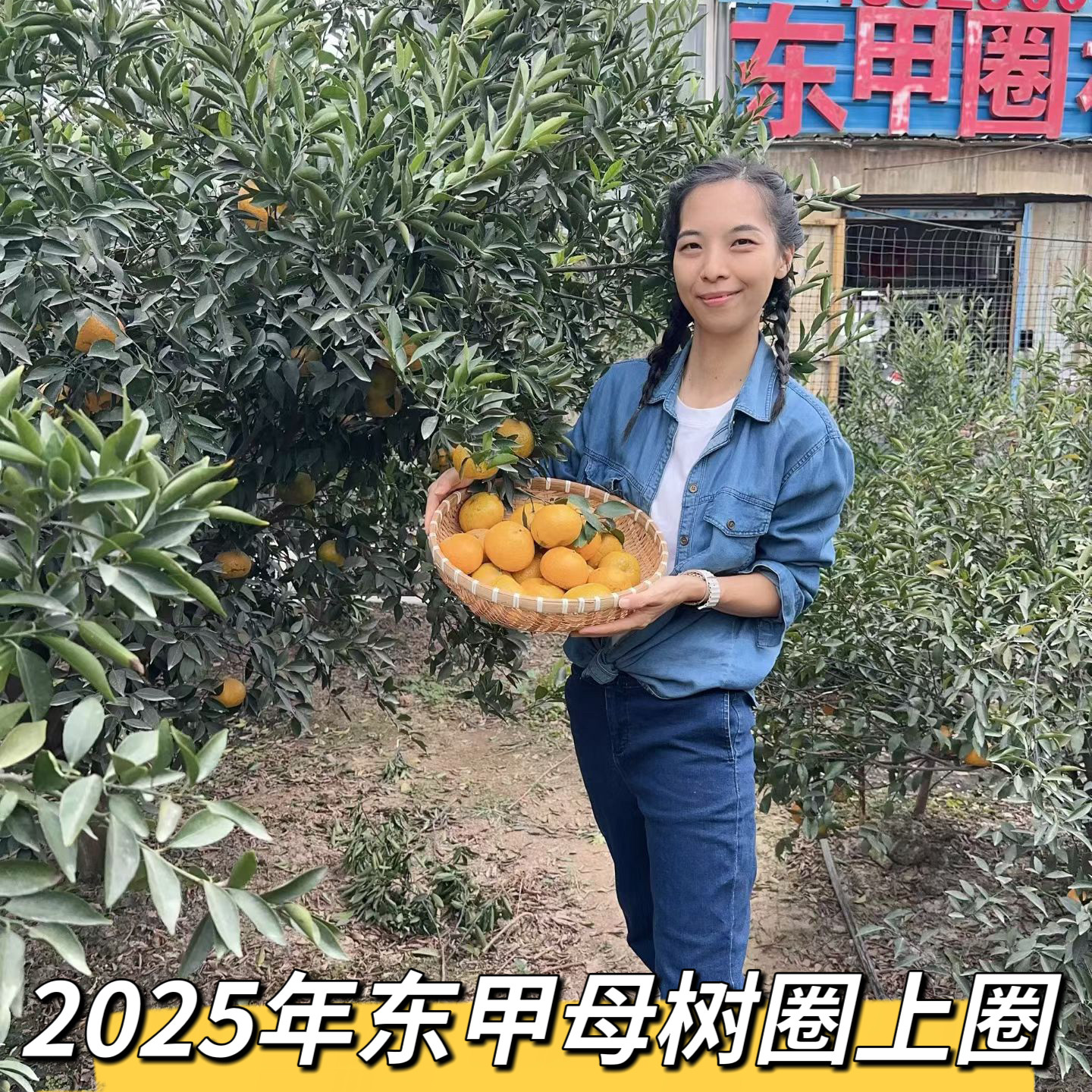 【东甲收藏级】100%东甲圈枝老树带果蹄小青大青大红皮茶枝柑