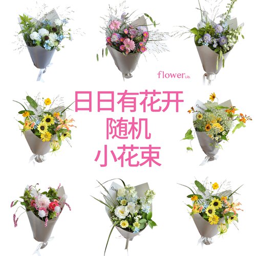 日日植物图书馆杭州插花送女友