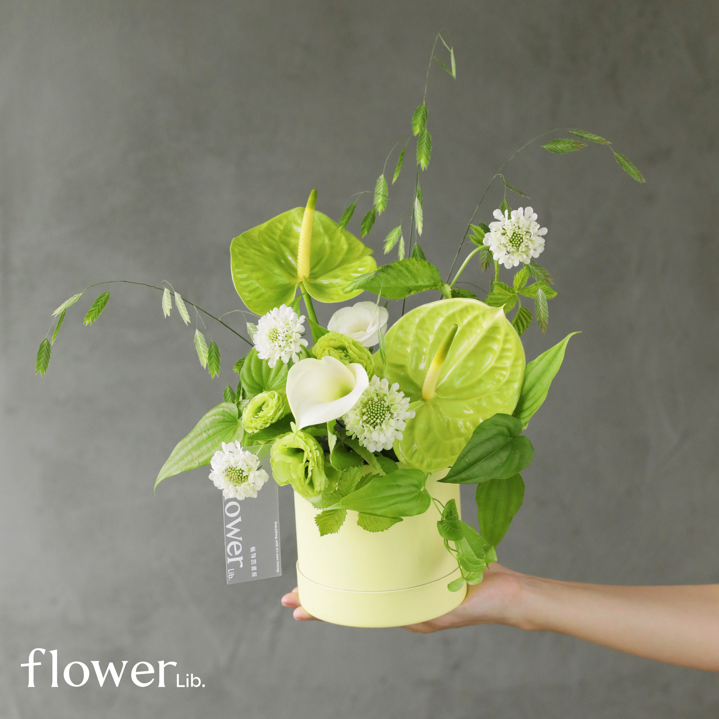 植物图书馆mini抱抱桶