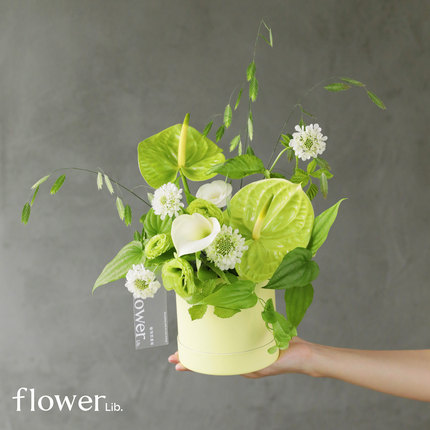 [mini抱抱桶合集]植物图书馆杭州同城迷你抱抱桶送女友节日礼物