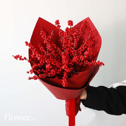 [一路长红]植物图书馆杭州同城北美冬青红果新年年宵盆栽瓶花礼物