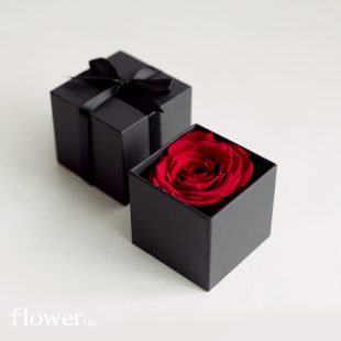 植物图书馆全国邮寄永生玫瑰花盒送女友生日礼物表白求婚 only