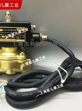 AEK全铜防爆电磁阀2W250-25Z/32Z全铜2W350-35Z/400-40Z二通水阀