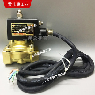 400 AEK全铜防爆电磁阀2W250 35Z 32Z全铜2W350 40Z二通水阀 25Z