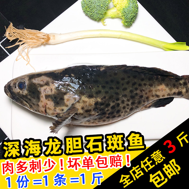 闽丰渔新鲜龙胆石斑鱼500克深海活鱼现杀鲜活清蒸生猛老虎斑
