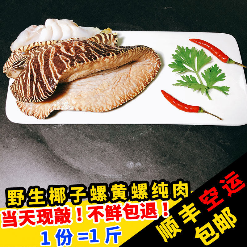 闽渔椰子螺美乐珠黄螺肉500g鲜活冷冻超大钱螺木瓜螺油螺海螺涡螺