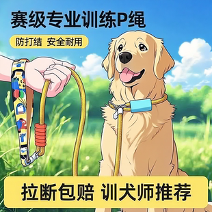 p链p绳狗狗牵引绳遛狗链子小中大型犬训犬防爆冲打结金毛宠物用品