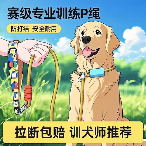 P绳p链大型犬防爆冲小狗狗牵引绳
