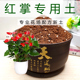 红掌专用土白掌土酸性通用型营养土鸿运当头培植土透气不板结精选
