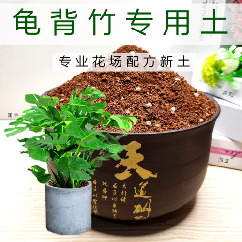 龟背竹专用土大型绿植盆栽花卉培养土弱酸性花泥通用型营养土特惠 - 封面