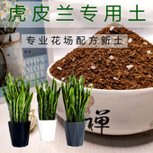 虎皮兰专用土花卉通用型营养土家庭兰科培植土壤弱酸性利生根热卖