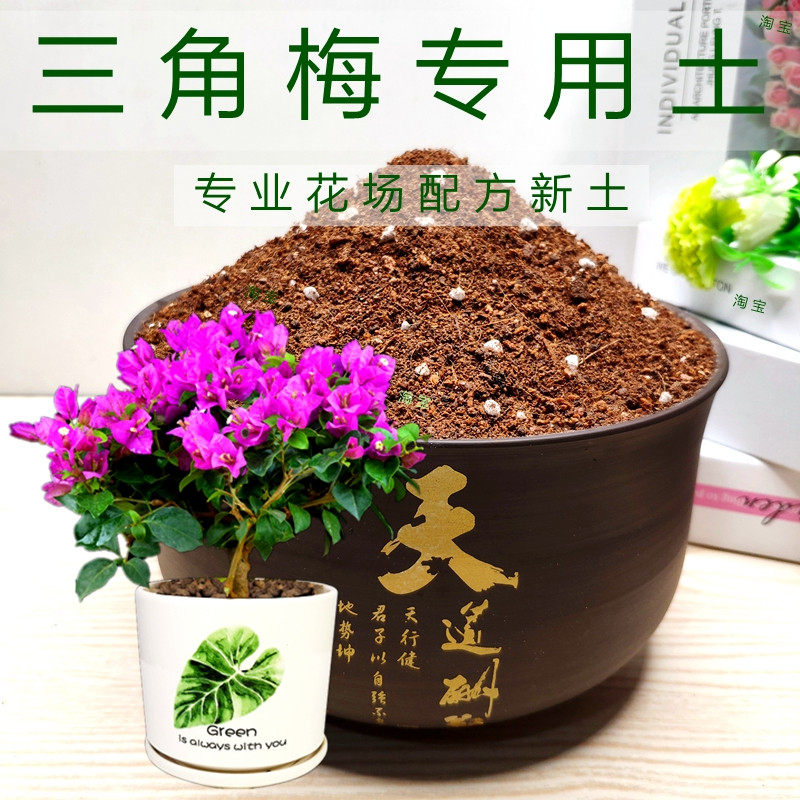 三角梅绿植弱酸性树苗专用土