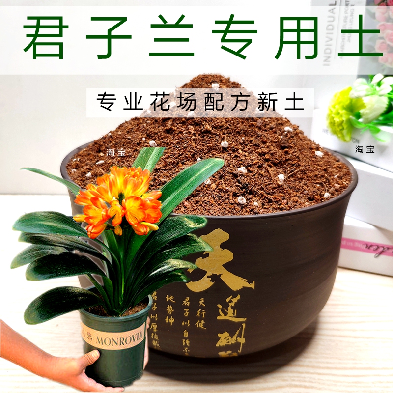 君子兰专用土盆栽花卉种植土通用型营养土弱酸性花土促生根透气土-封面