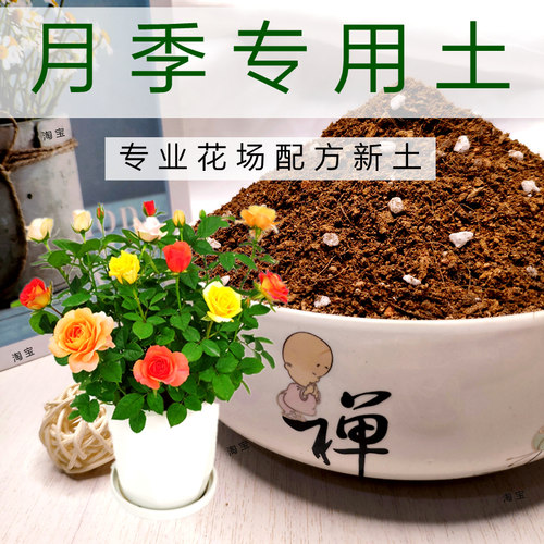 月季土壤家庭园艺弱酸性特惠